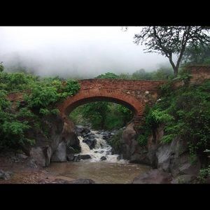 Meet your Posher, Griselda